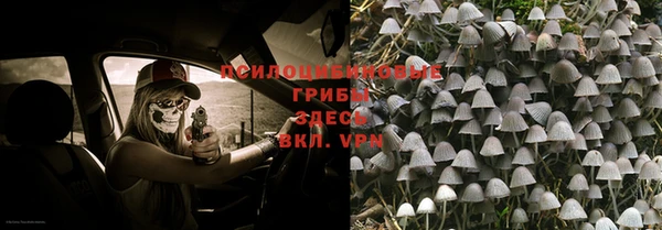 a pvp Верхний Тагил