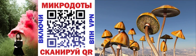 Галлюциногенные грибы Psilocybe  Купить  Алексин 